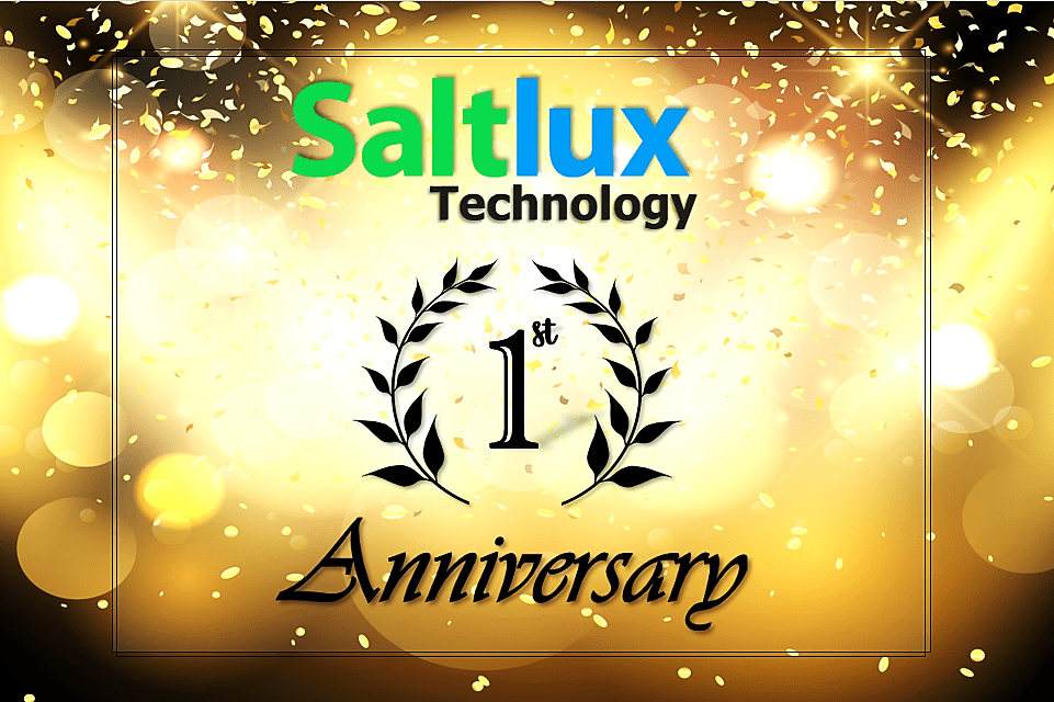 Saltlux Technology